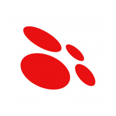 Copernica Logo